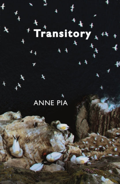 Transitory - 9781912147373