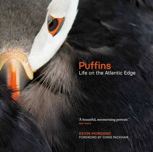 Puffins : Life on the Atlantic Edge - 9781913207779
