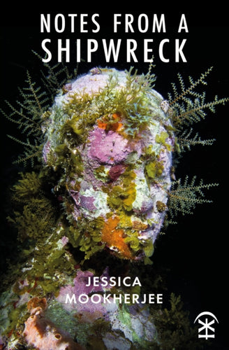 Notes from a Shipwreck - 9781913437480