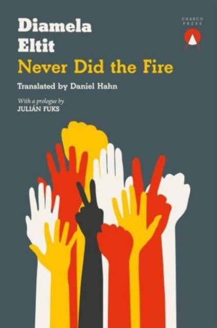 Never Did the Fire - 9781913867218