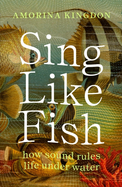 Sing Like Fish : how sound rules life under water - 9781914484322