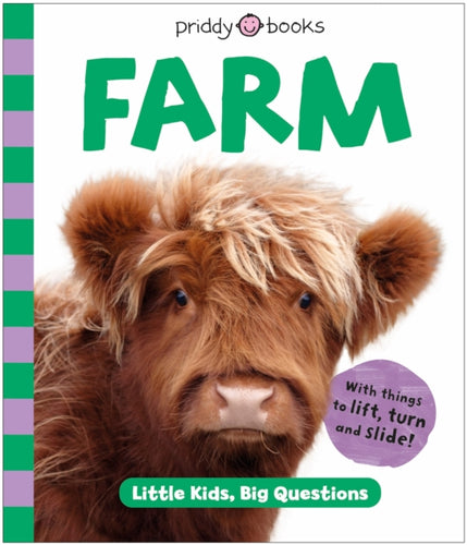 Baby Animals (Little Kids, Big Questions) - 9781916745643
