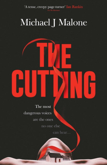 The Cutting : The dark spine-tingling new Annie Jackson mystery Volume 4 - 9781917764490