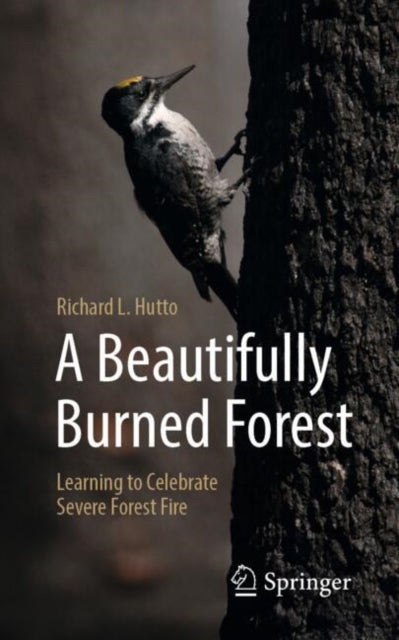 A Beautifully Burned Forest : Learning to Celebrate Severe Forest Fire - 9783032031792