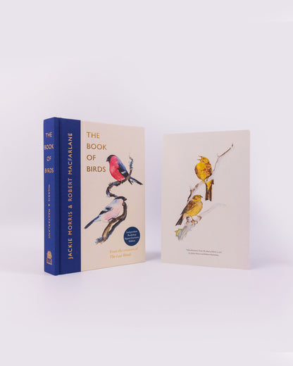 Pre-Order for 7th May 2026: Signed Indie Exclusive copy of The Book of Birds by Jackie Morris and Robert Macfarlane