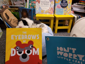 Storytelling 29th September 2023 - 3pm