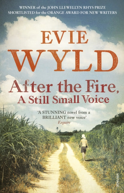 AFTER THE FIRE A STILL SMALL VOICE-9780099535836