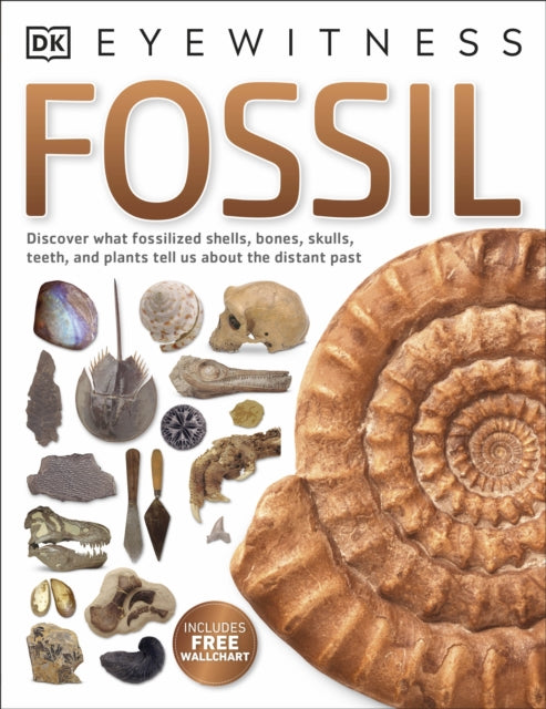 Fossil-9780241286876