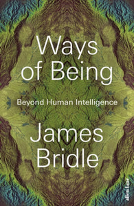 Ways of Being : Beyond Human Intelligence-9780241469651