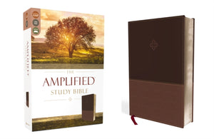 The Amplified Study Bible, Leathersoft, Brown-9780310440802