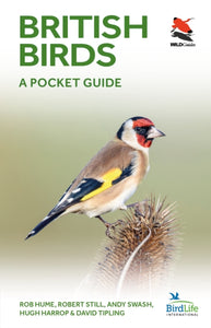 British Birds : A Pocket Guide-9780691181677