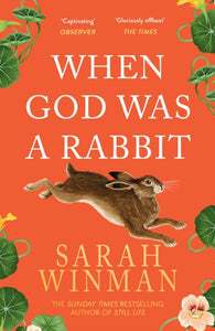 WHEN GOD WAS A RABBIT-9780755379309