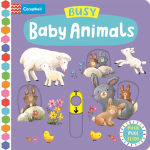 Busy Baby Animals-9781035004706