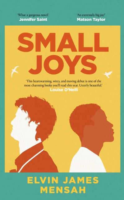 Small Joys : The most moving and uplifting debut novel of 2023-9781398514881