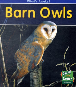 Barn Owls-9781406212419