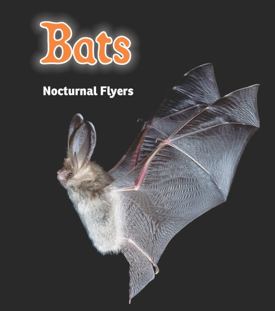 Bats : Nocturnal Flyers-9781406282870