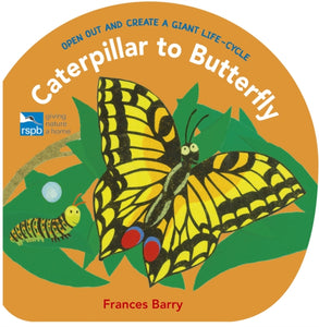 Caterpillar to Butterfly : Open Out and Create a Giant Life-Cycle-9781406383485