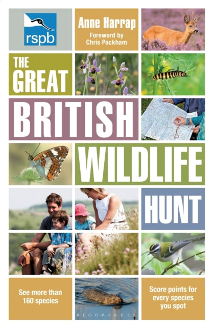RSPB The Great British Wildlife Hunt-9781408180372