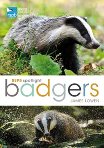 RSPB Spotlight: Badgers-9781472921819