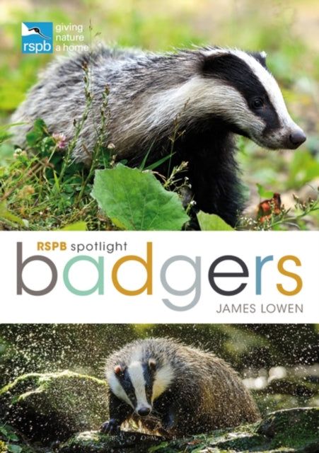 RSPB Spotlight: Badgers-9781472921819