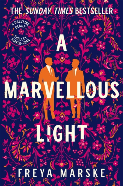 A Marvellous Light-9781529080902