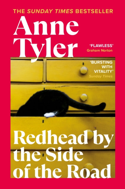 Redhead by the Side of the Road : Longlisted for the Booker Prize 2020-9781529112450
