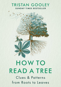 How to Read a Tree : Clues & Patterns from Roots to Leaves-9781529339598