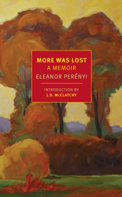 More Was Lost : A Memoir-9781590179499