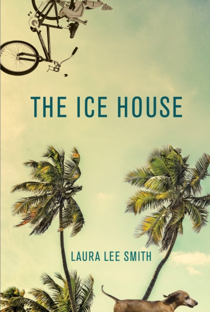 The Ice House-9781611854909