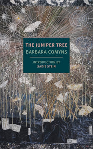 The Juniper Tree-9781681371313