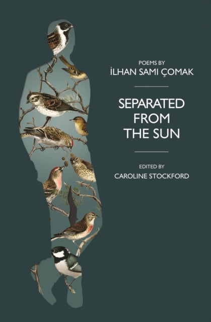 Separated from the Sun-9781739772239
