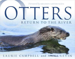Otters : Return to the River-9781780272061