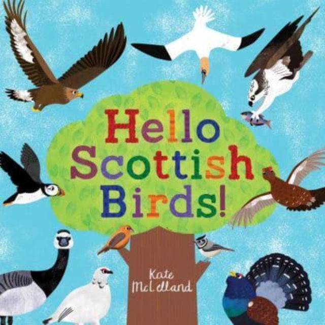 Hello Scottish Birds-9781782508335