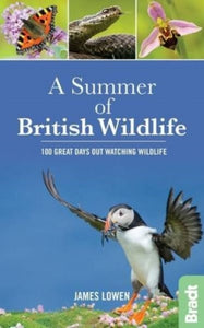 A Summer of British Wildlife : 100 Great Days Out Watching Wildlife-9781784770099