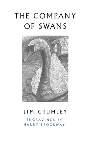 The Company of Swans-9781787300620
