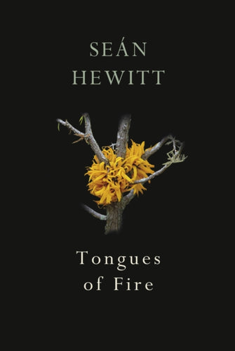 Tongues of Fire-9781787332263