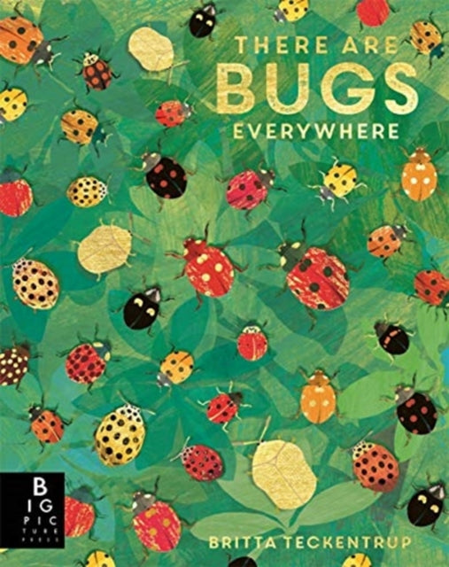 There are Bugs Everywhere-9781787418219