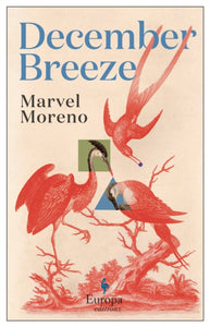 December Breeze : A masterful novel on womanhood in Colombia-9781787704091