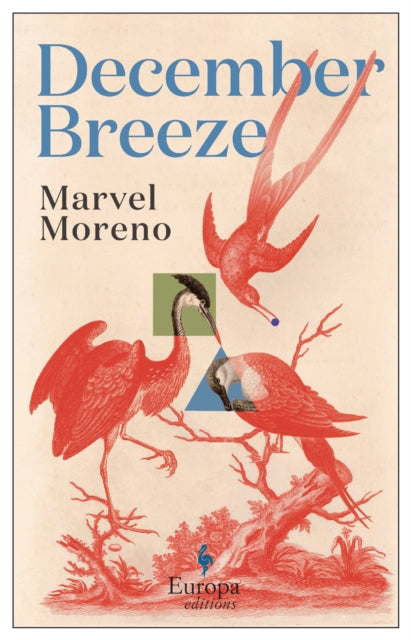 December Breeze : A masterful novel on womanhood in Colombia-9781787704091