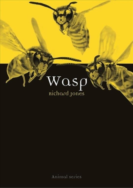 Wasp-9781789141610