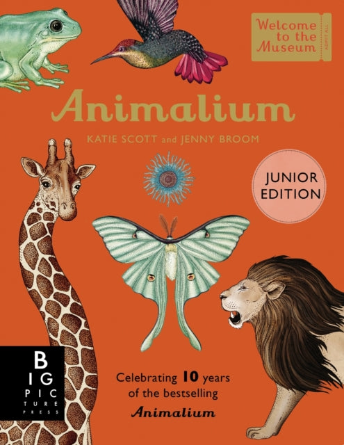 Animalium (Junior Edition)-9781800783706