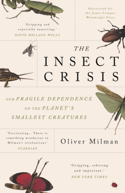 The Insect Crisis : Our Fragile Dependence on the Planet's Smallest Creatures-9781838951191
