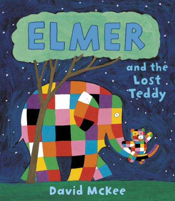 Elmer and the Lost Teddy-9781842707494