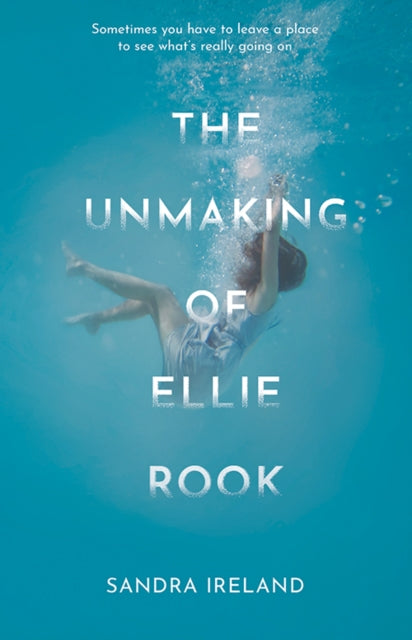 The Unmaking of Ellie Rook-9781846974823