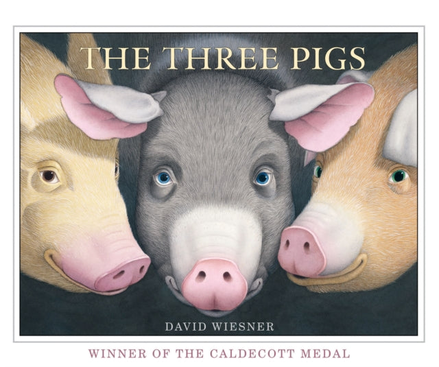 The Three Pigs-9781849394055