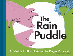 The Rain Puddle-9781851244690