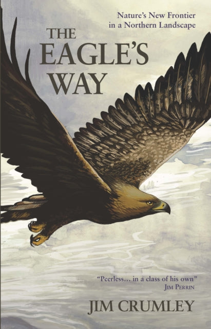 The Eagle's Way : Nature's New Frontier in a Northern Landscape-9781908643476